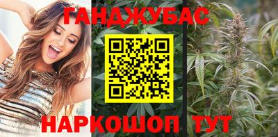 мет Камышлов