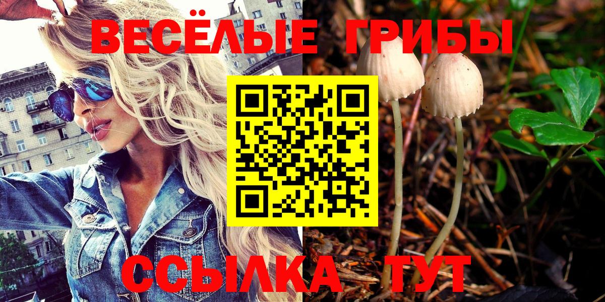 A-PVP Мытищи